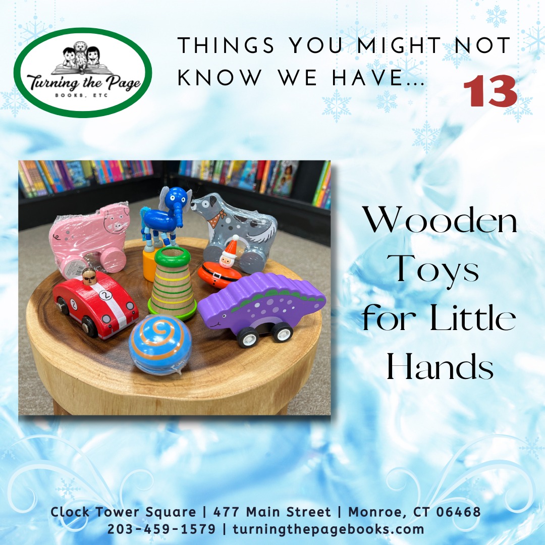 Days 13 & 14 of Things You Might Not Know We Have: Delightful Wooden Toys for Little Hands and...